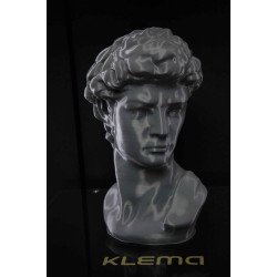 3D принтер KLEMA 250 Twin Pro