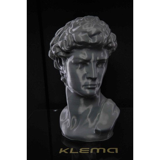 3D принтер KLEMA 250 Twin Pro