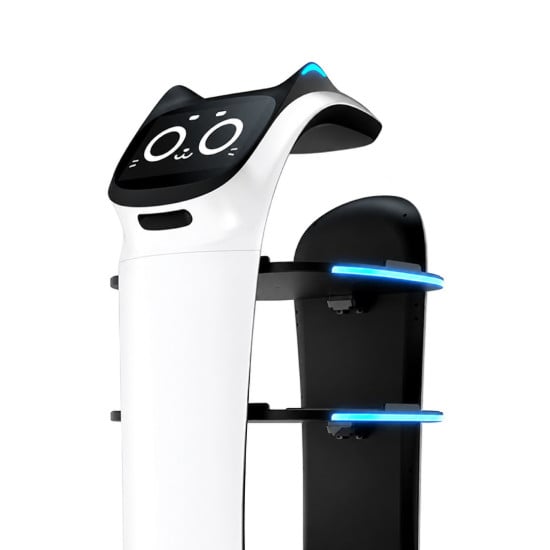 PUDU BellaBot Delivery Robot