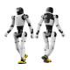 Robot humanoidalny AgiBot X2
