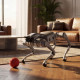 Robo-dog Unitree As2 Edu-U3