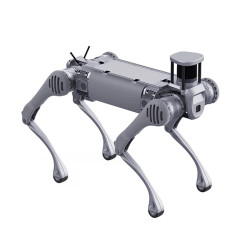 Unitree B2 Robotic Dog