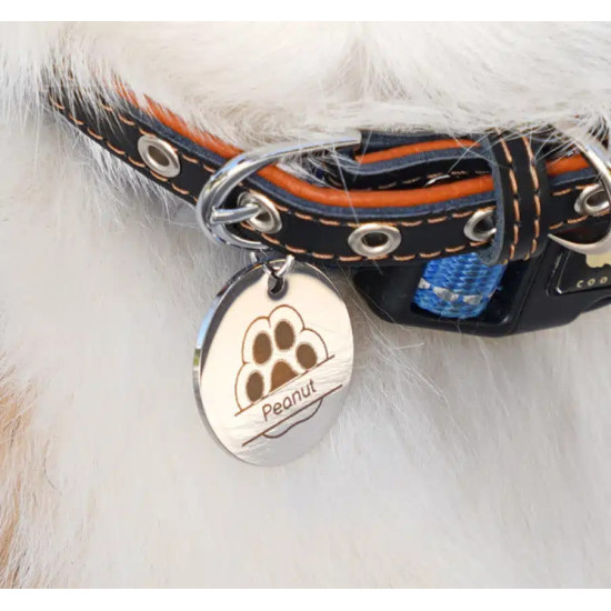 3D принтер Bambu Lab H2D 10W