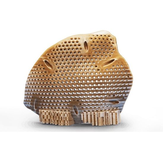 3D принтер CreatBot PEEK-250