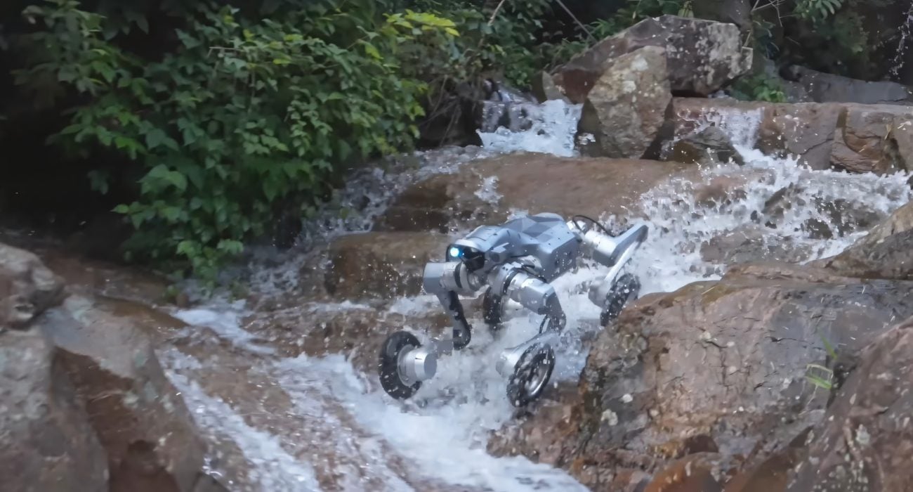 Unitree As2-W X Navigating Complex Terrain with Rocks and Water