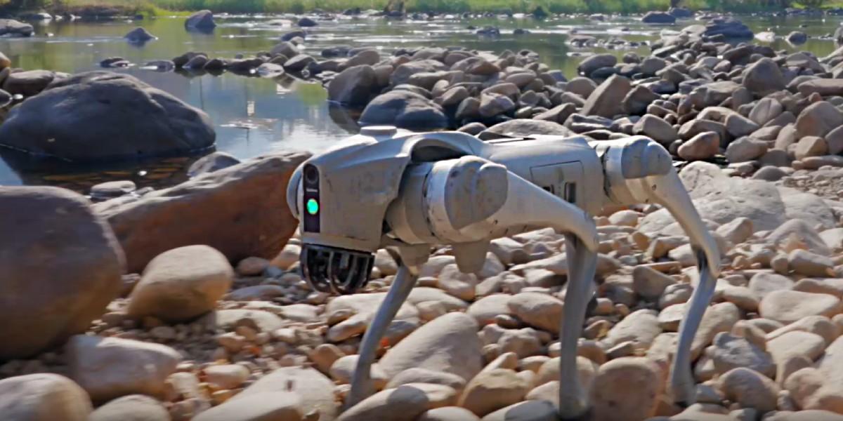 Unitree Go2 Edu Flagship – U4 ходить по камінню