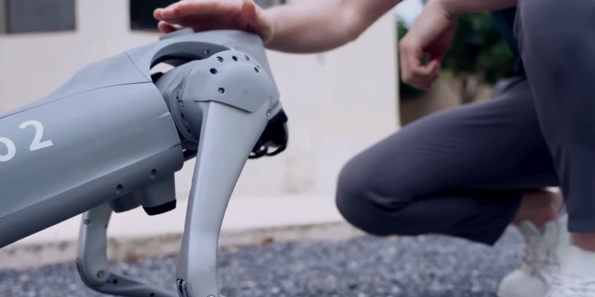 Робо-собака Unitree Go2 X, фото