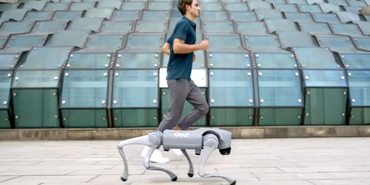 Робот-помічник, робот-компаньйон