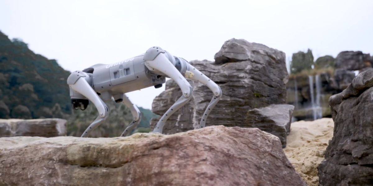 Використання робота-собаки в горах