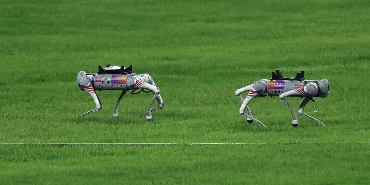 Робособака Unitree Go2