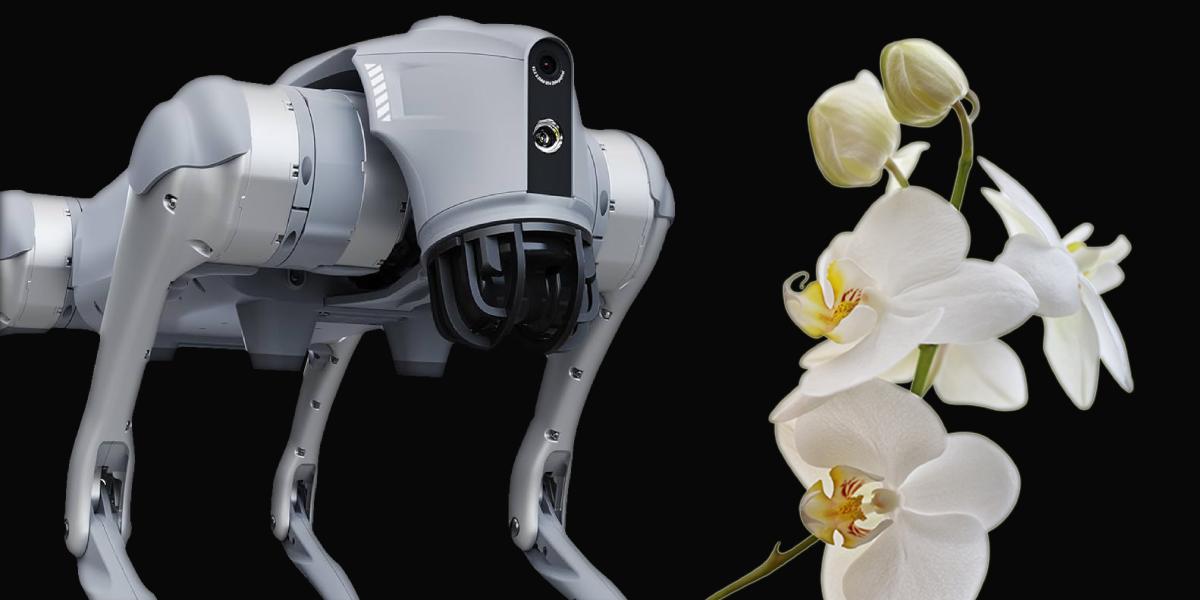 Інтелектуальна система зору в Unitree Go2 Edu U2