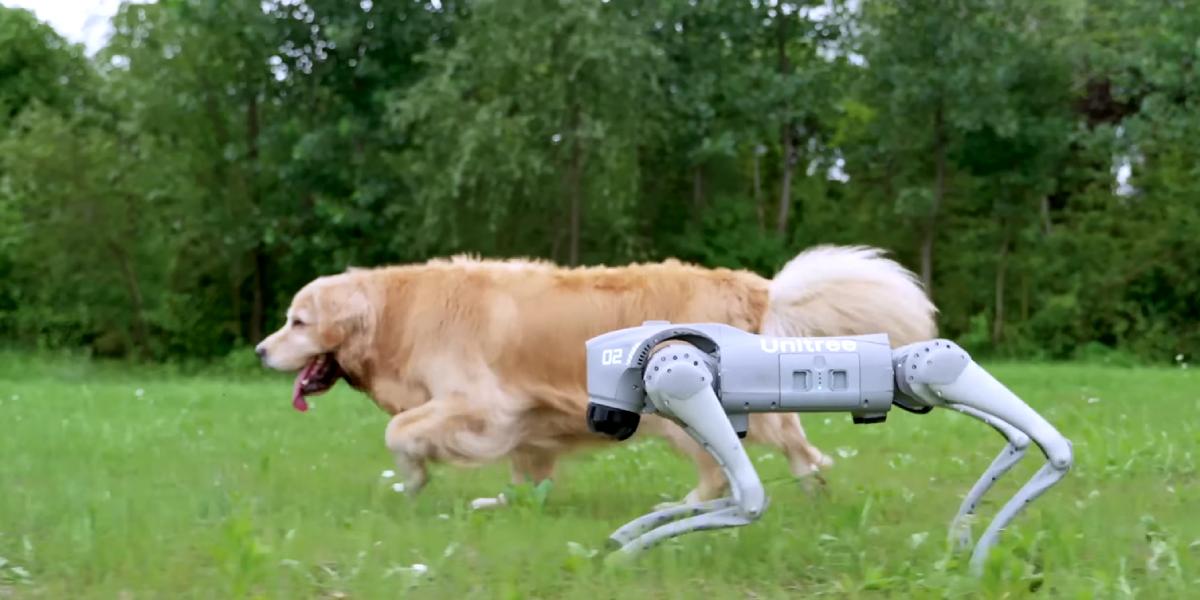 Unitree Go2 Edu в роботі