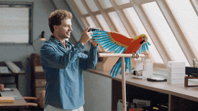 Карколомний колір